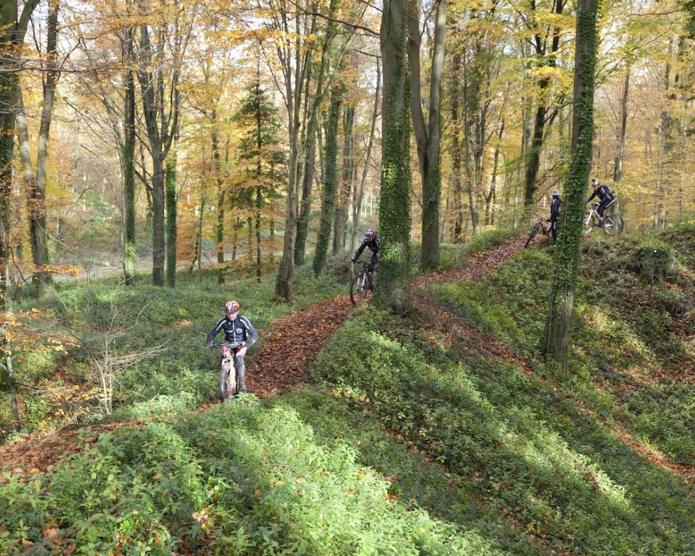 Le Parc est deux fois plus boisé que le reste du Pas de Calais 