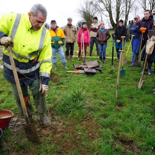 Encourager la plantation d'essences locales