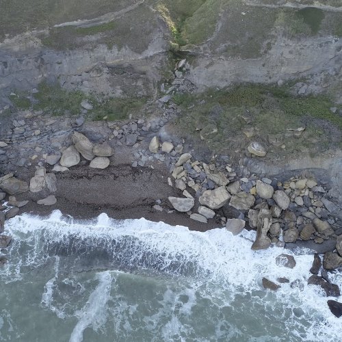 Balade nature estivale au bord des falaises