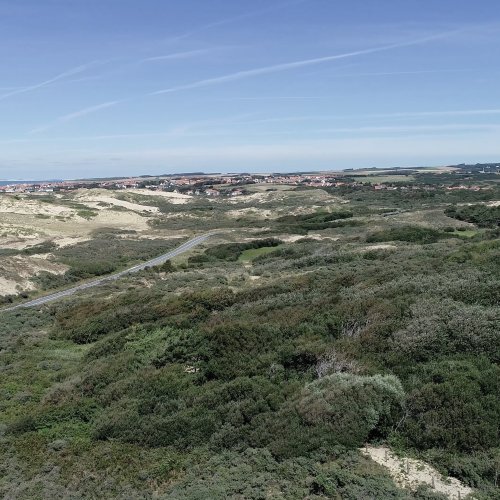 Balade nature estivale dans les dunes