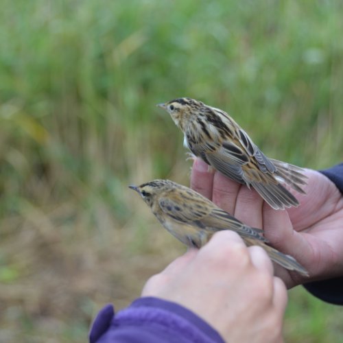 Protéger la nature et la biodiversité